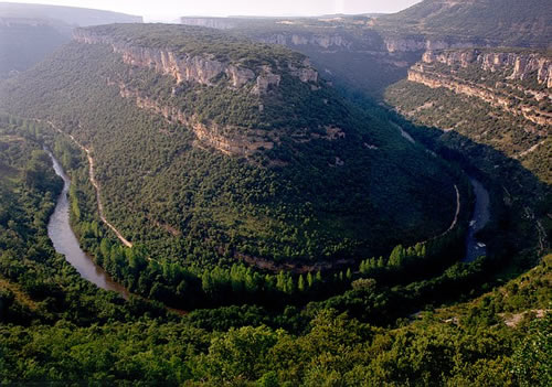 Cañón-del-Ebro-cañones-y-bosque