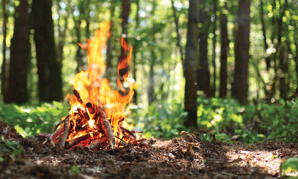 no hacer fuego en el bosque