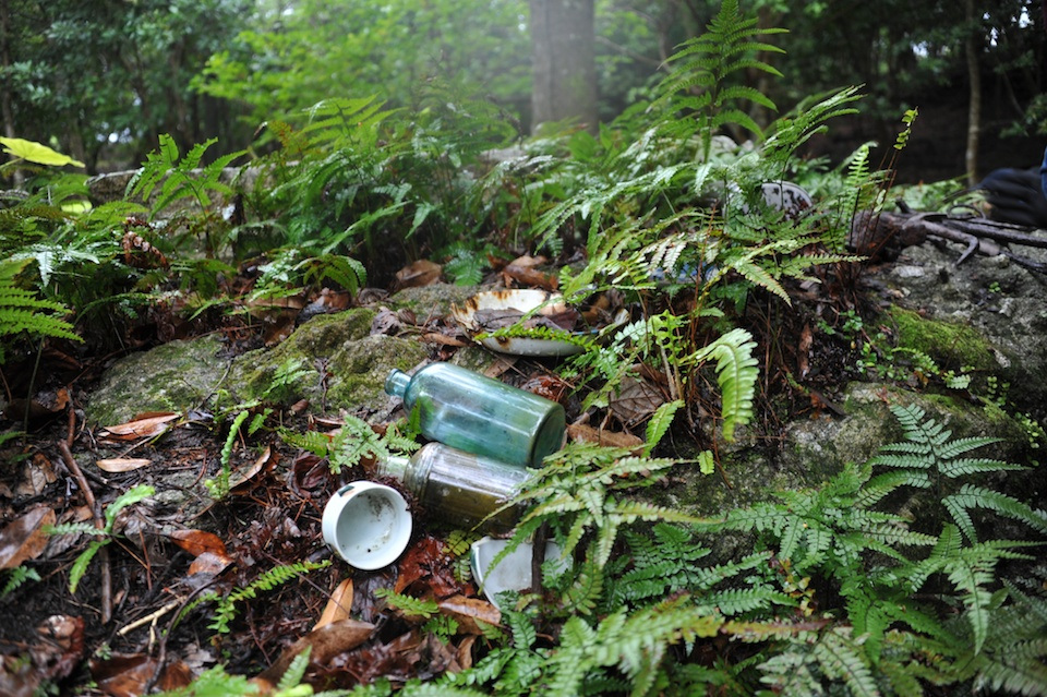 no tirar basura en el bosque