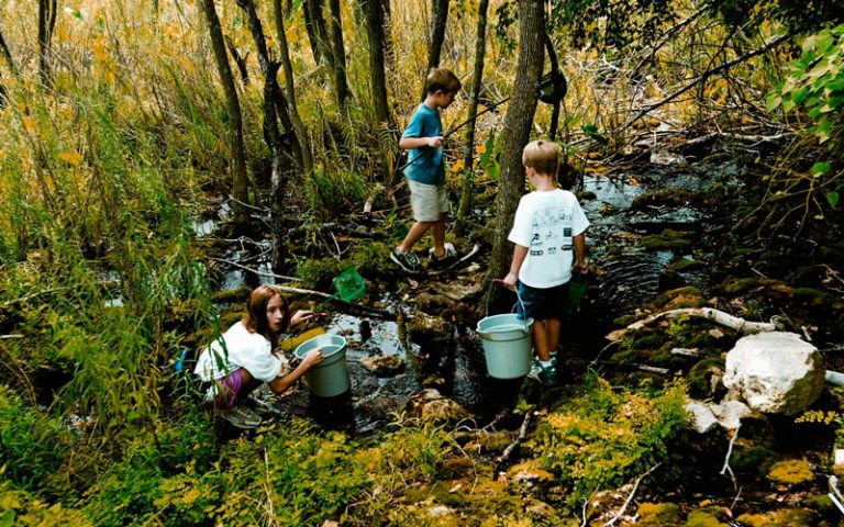 Beneficios de la naturaleza para los niños y cómo aprovecharlos