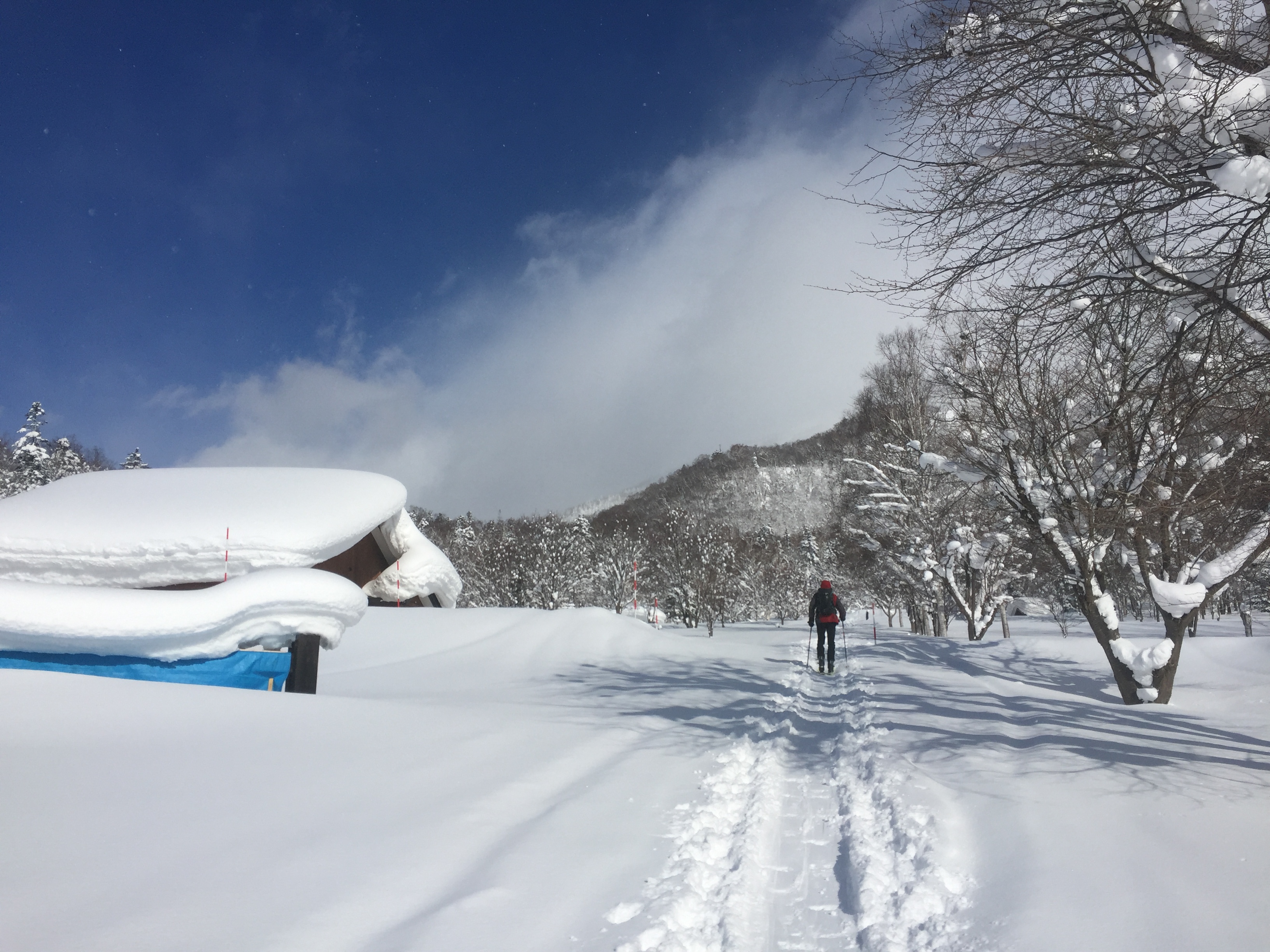 trazado den la nieve. Japón